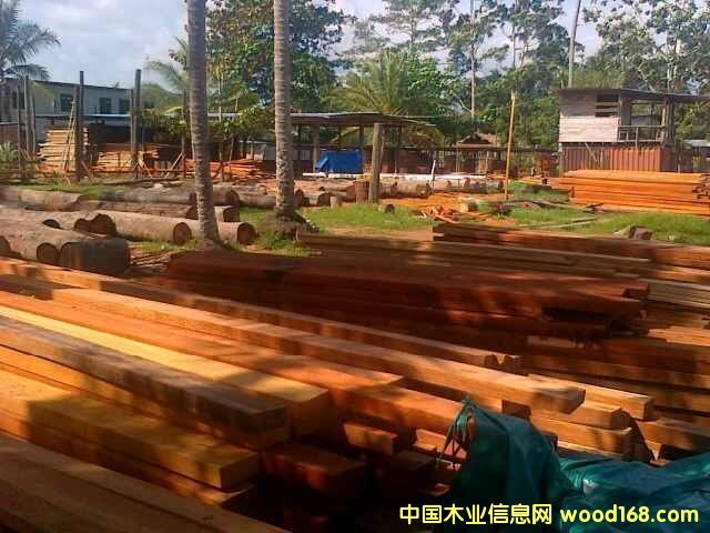 c鿴˾ľŴDƬ