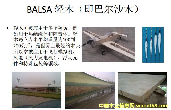 BALSA pľ͠ɳľ;