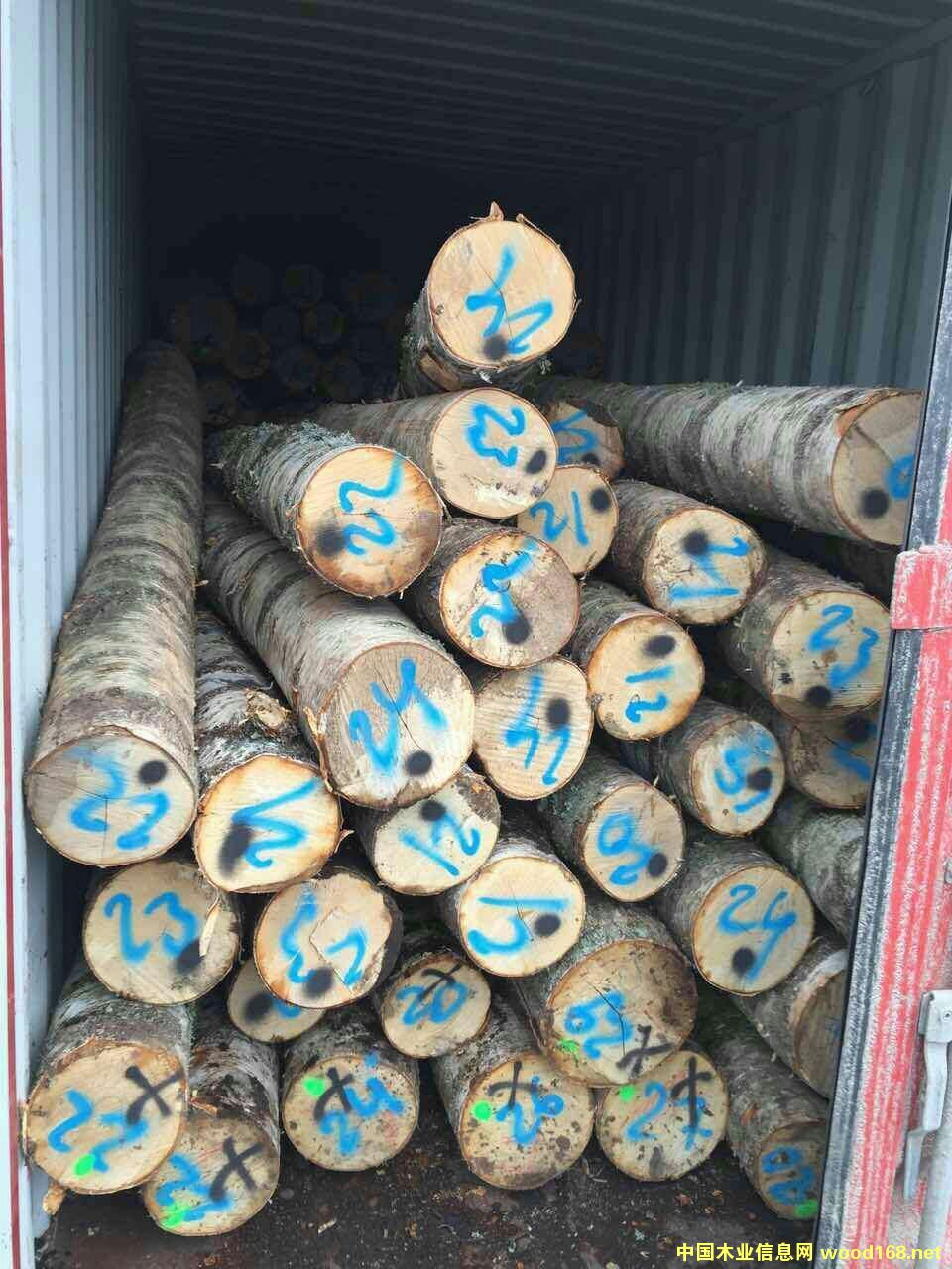 ÓSľԭľԔB