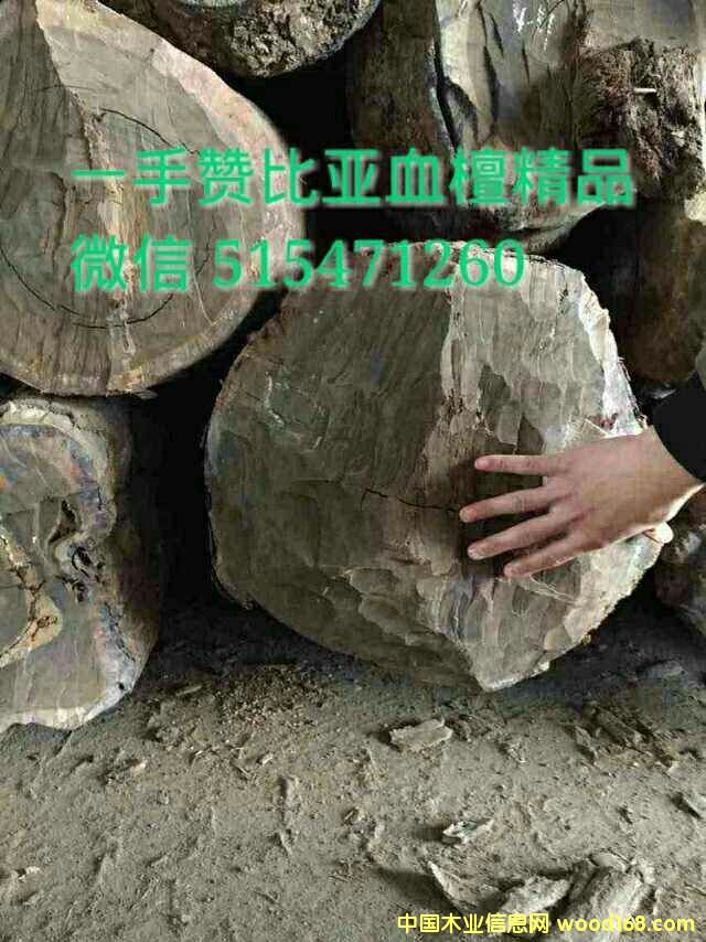 ٝȁѪ̴ϵԔB