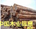 松木的詳細介紹