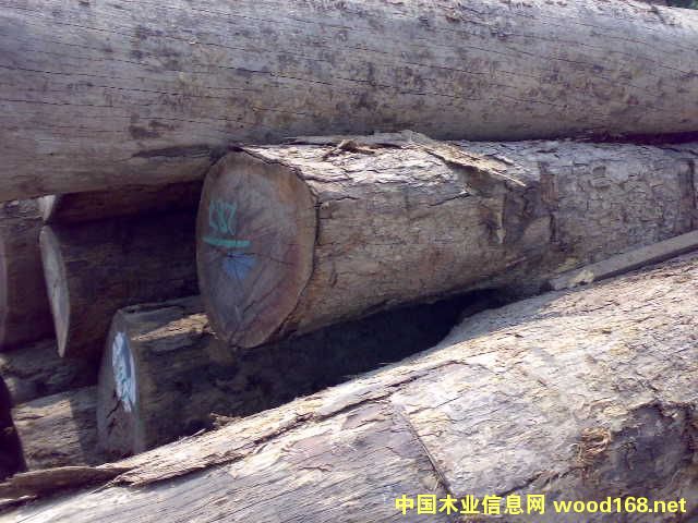 c鿴~t̴ŴDƬ