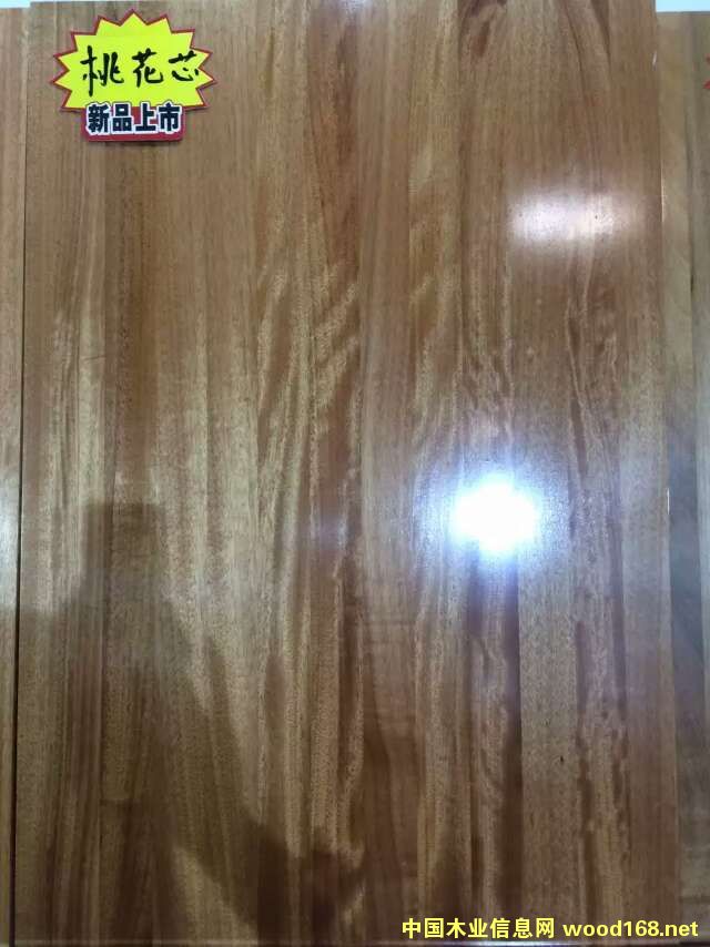 һоֱƴָӰԔB