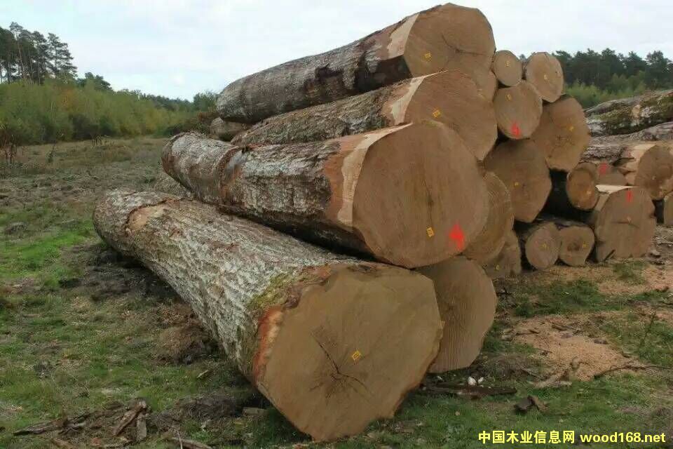 W޼tԭľ̵ԔB
