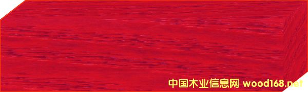 c鿴ˮ̓Ⱦ t R-06-SԔ(x)Y