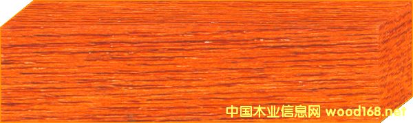 c鿴ˮ̓Ⱦ ȼt O-09-SԔ(x)Y