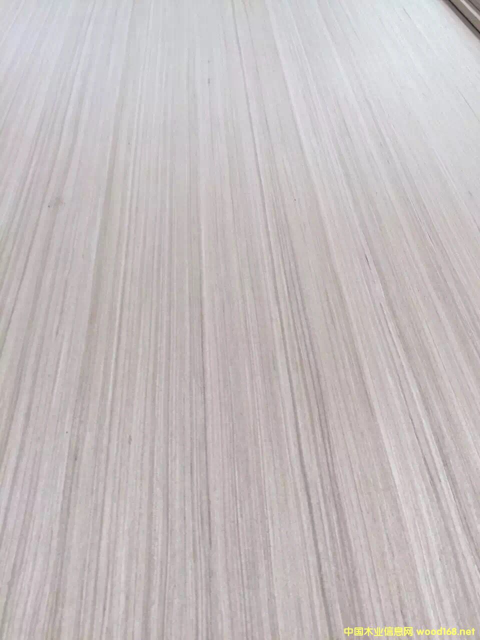 c鿴B18 ľŴDƬ