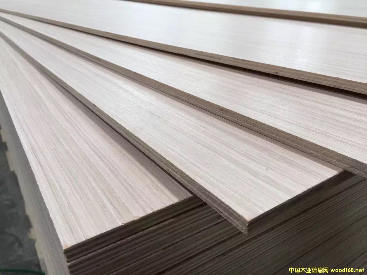 c鿴25ӰҾ߰ŴDƬ