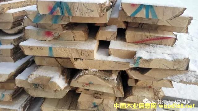 點擊查看椴木鉛筆板的詳細資料