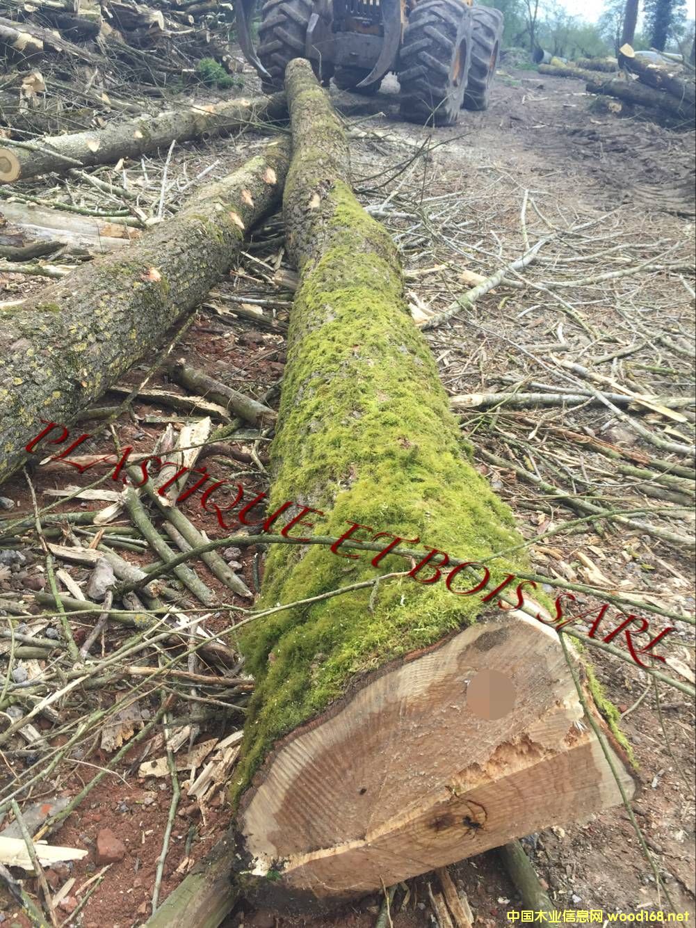 W ľ ԭľ
