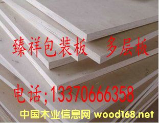 122x244ԔB