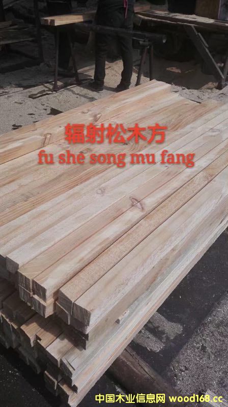 ݗľ