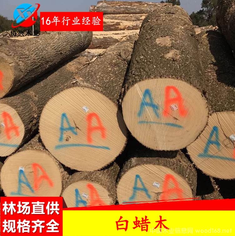 Ϟ?zi)ԭ?  border=