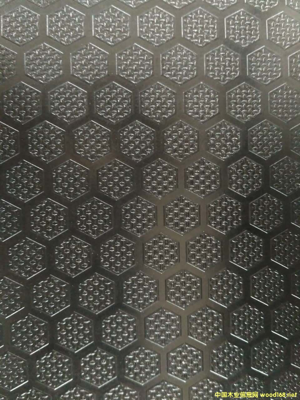 XϽ_Ĥ