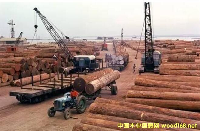 tľԭa(chn)P(gun)r񱩝q40%҇(yn)ؔ؛t֦ՓQ