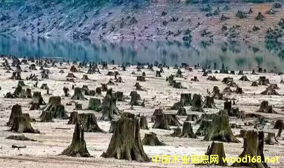 [[Ĵ黨