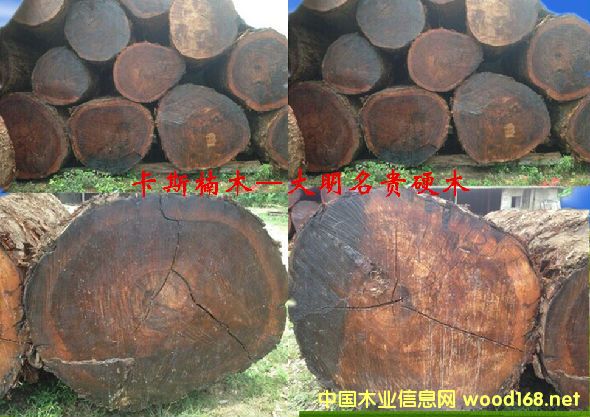 木材樹種詳解--卡斯楠木 俗稱:非洲胡桃木