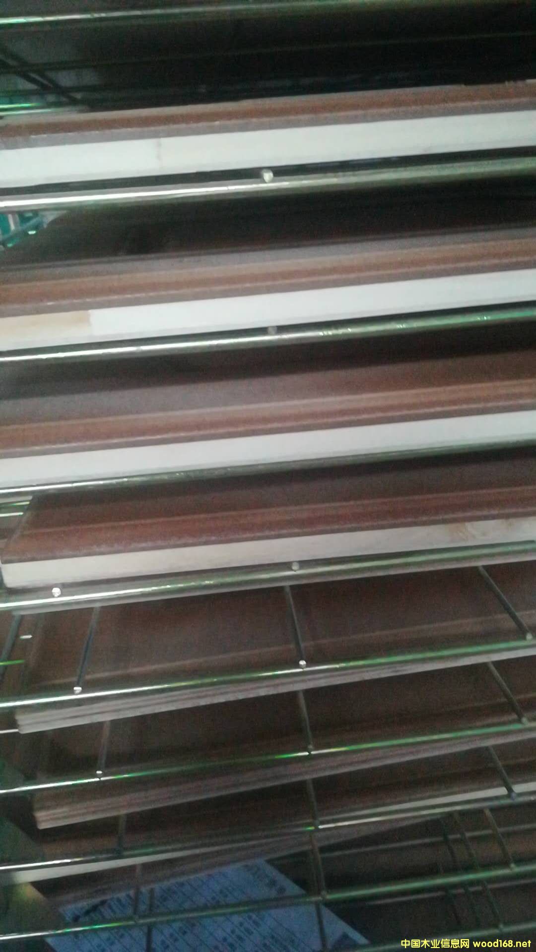 ľͺϵ̰