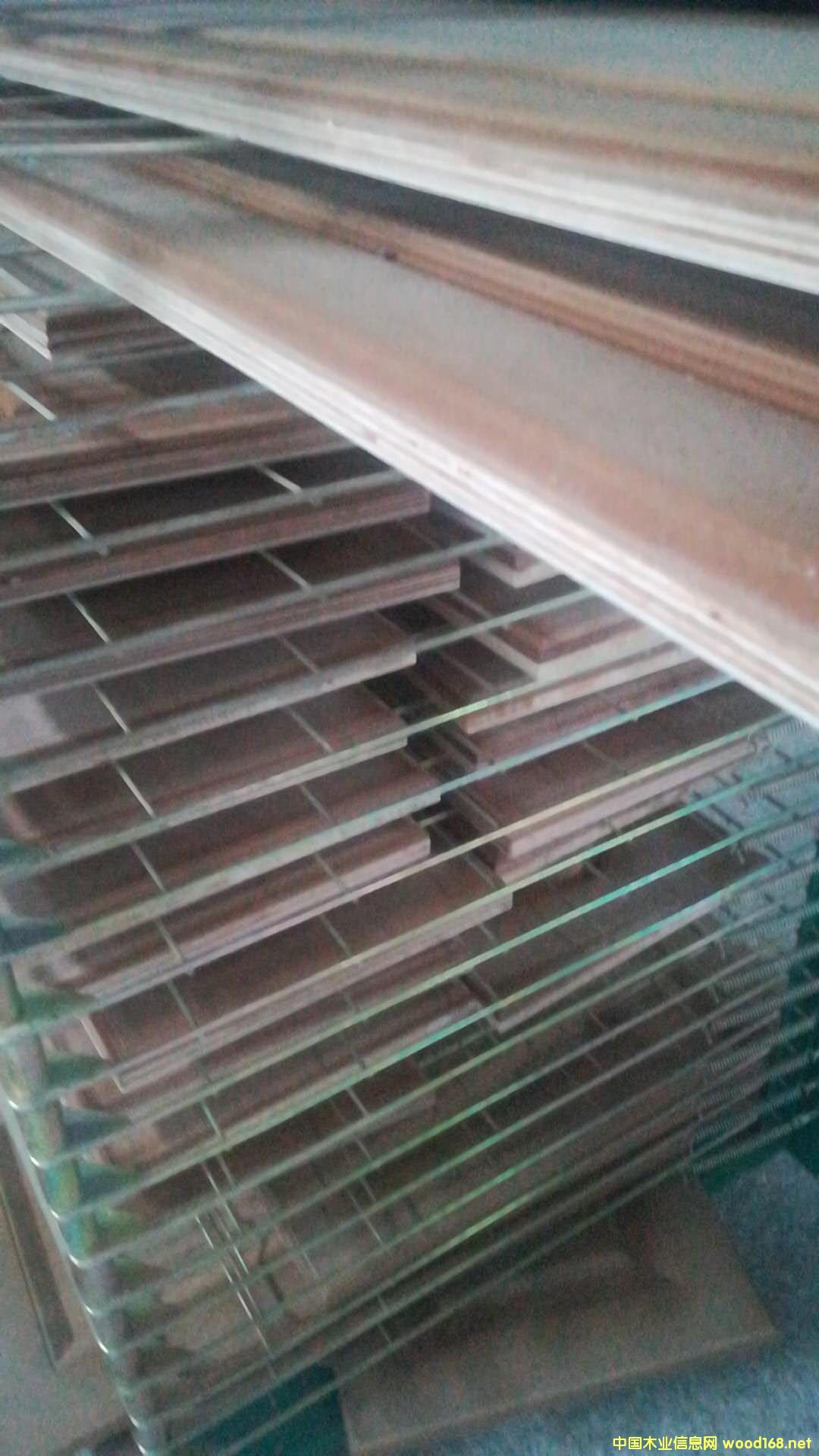 ӏͺϵ̰