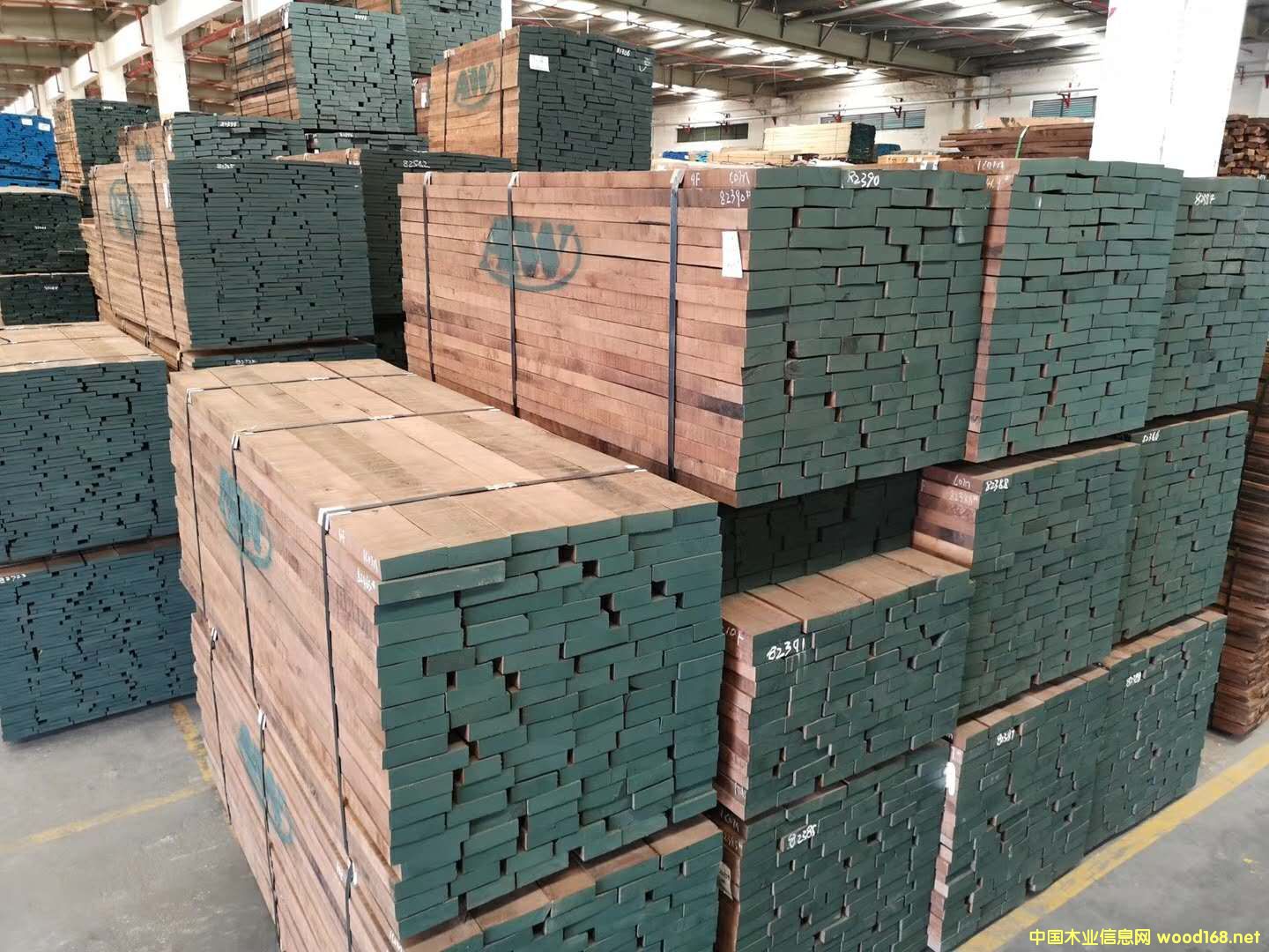 黑胡桃的詳細介紹