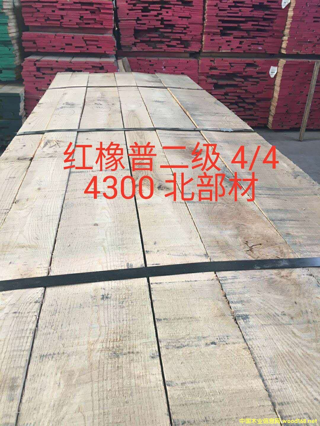 紅橡木的詳細介紹