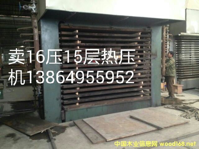 λ481615ӟቺC