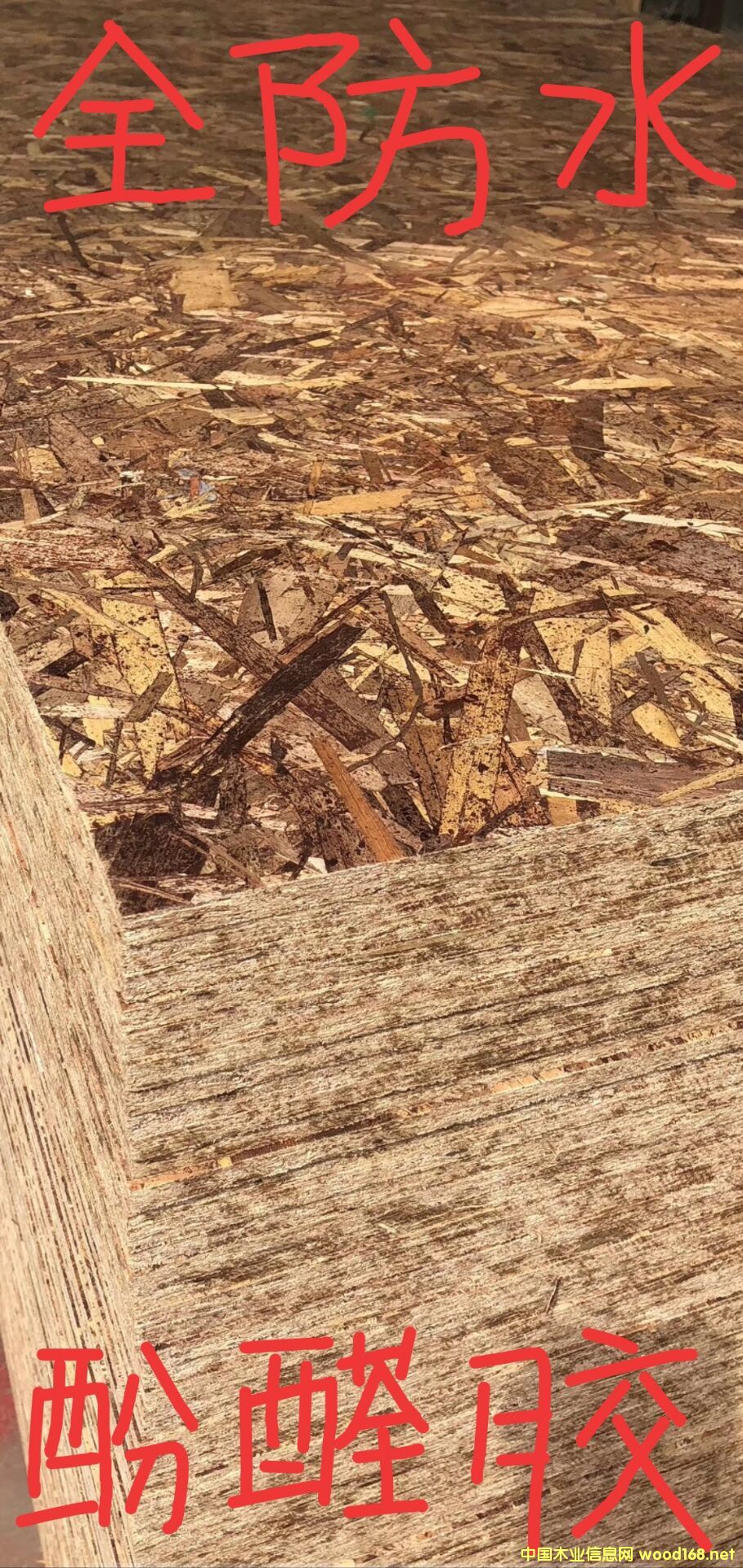 OSB2