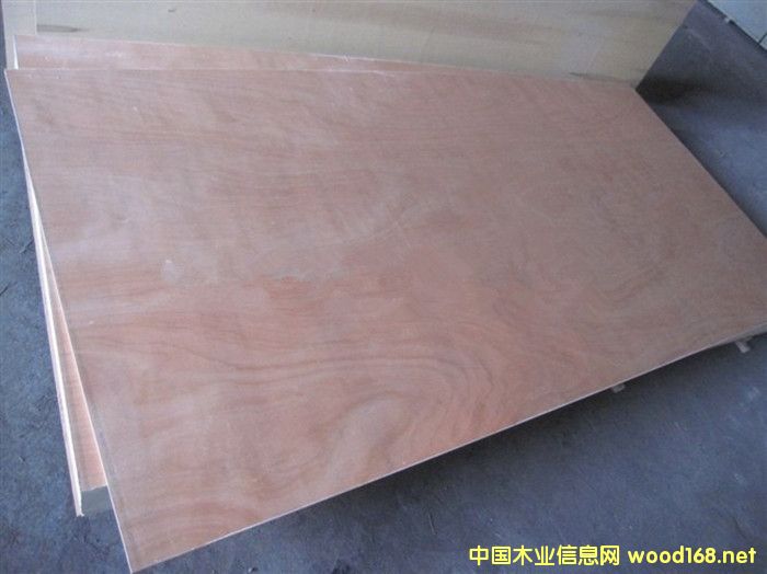 ľ oN棬bA