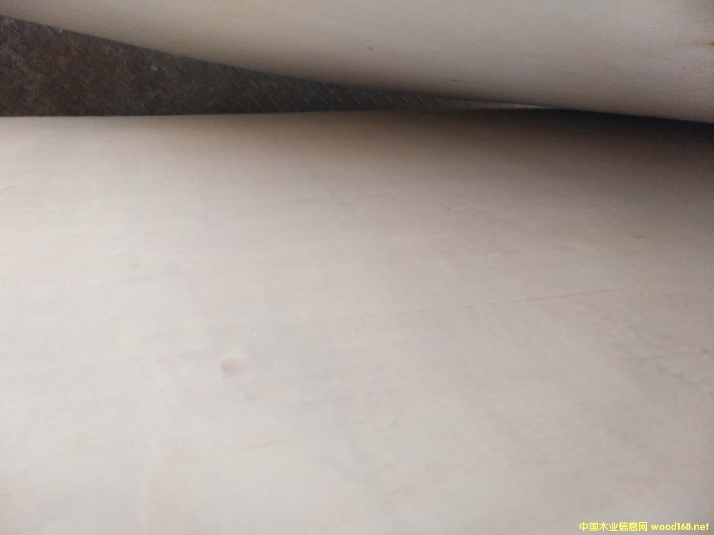 的詳細介紹