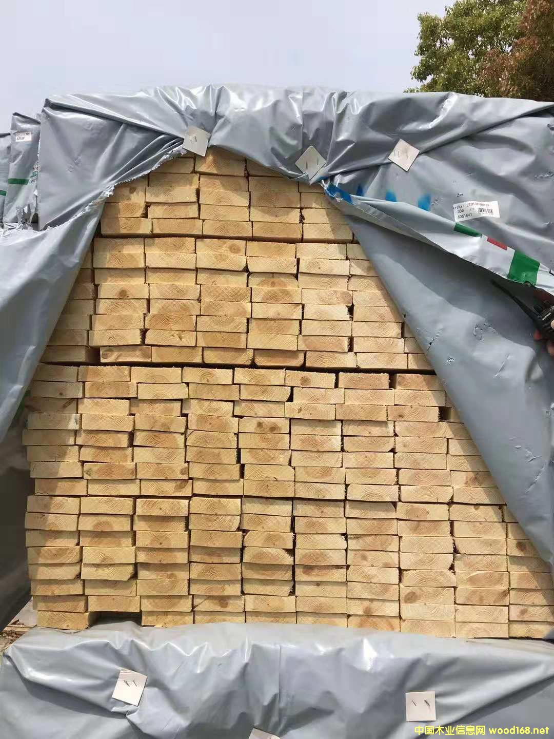  ɰ