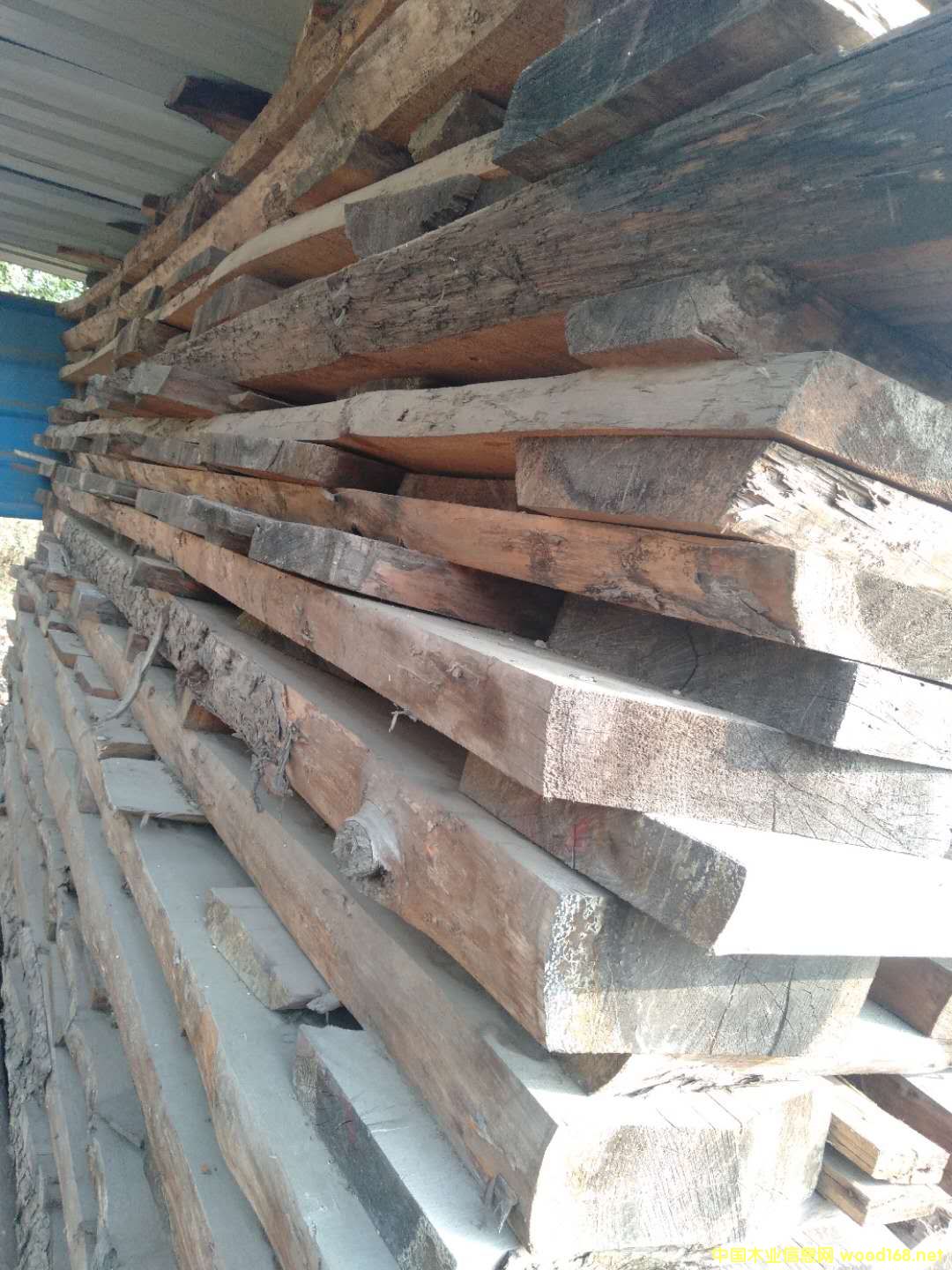 tɰ13966637849