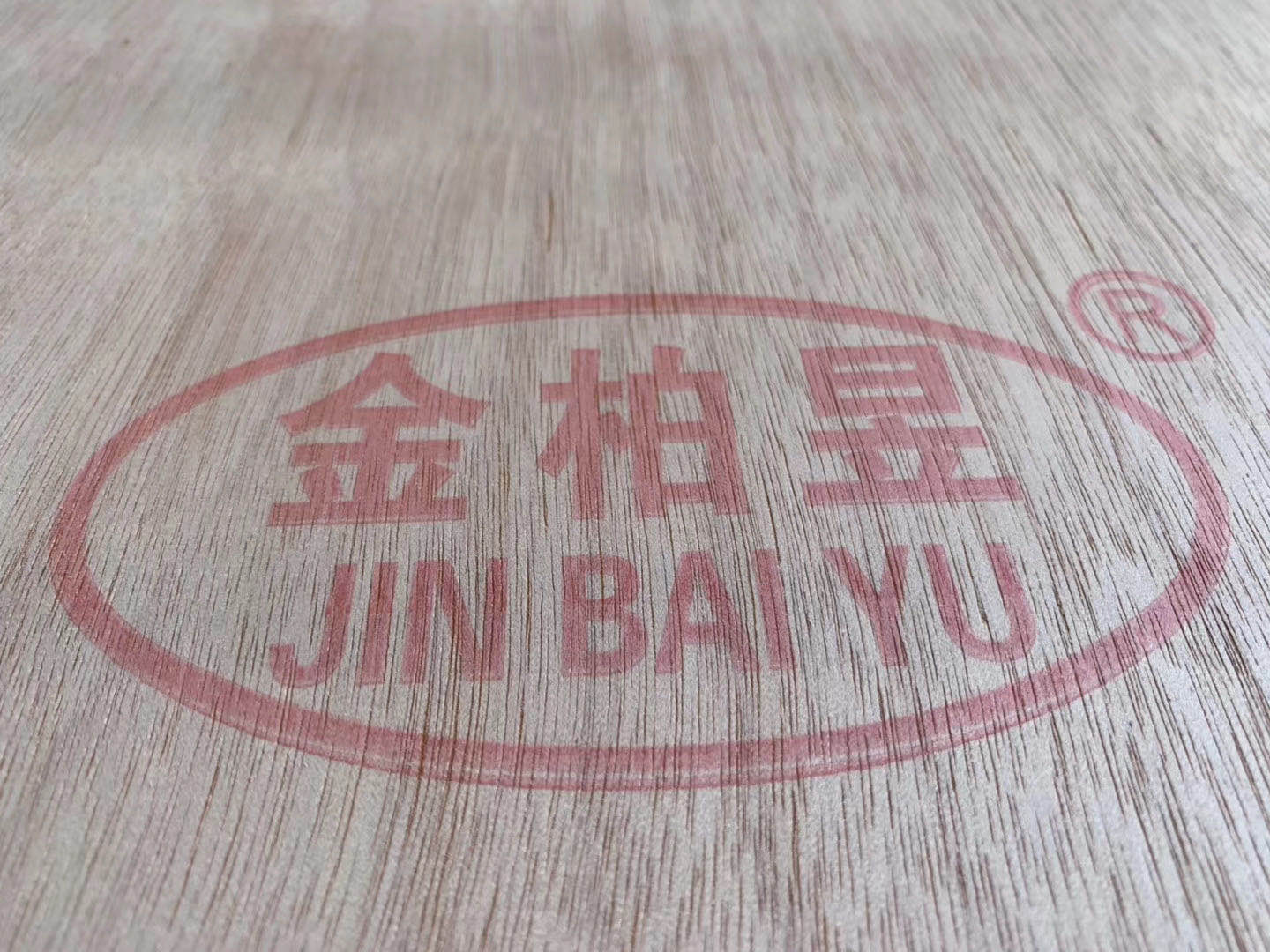 的詳細介紹