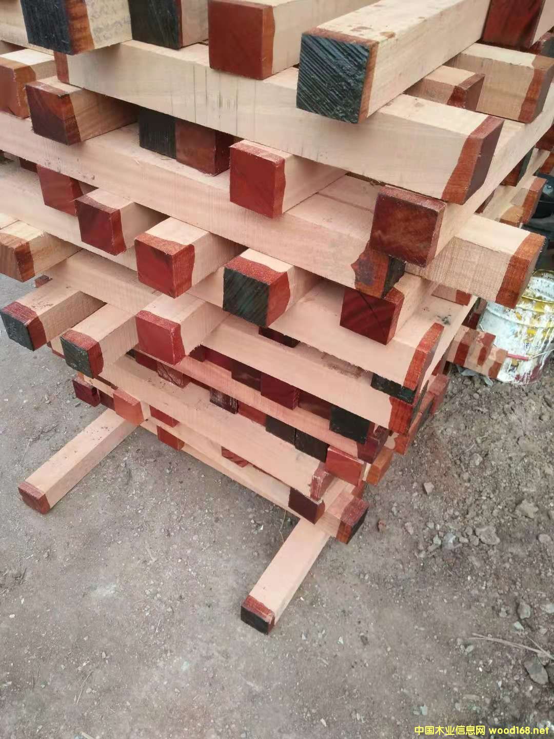 ɳ