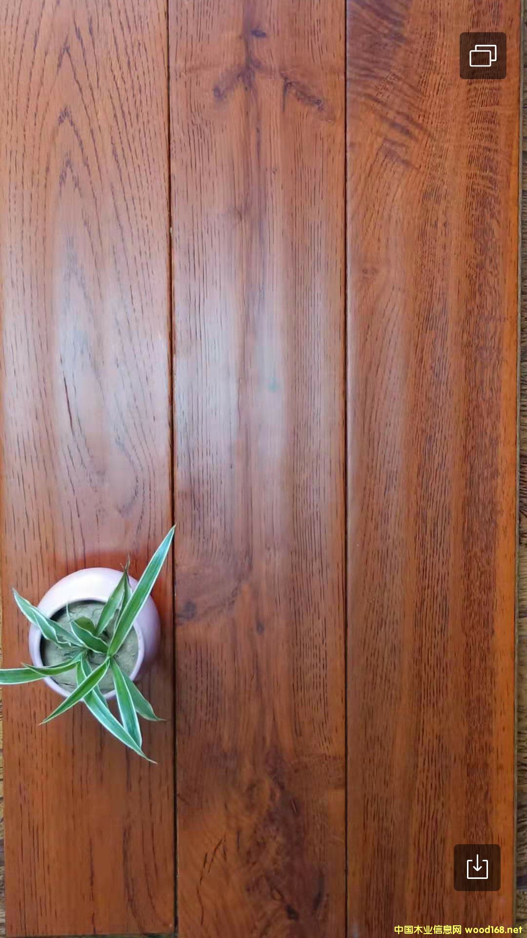 ľذ