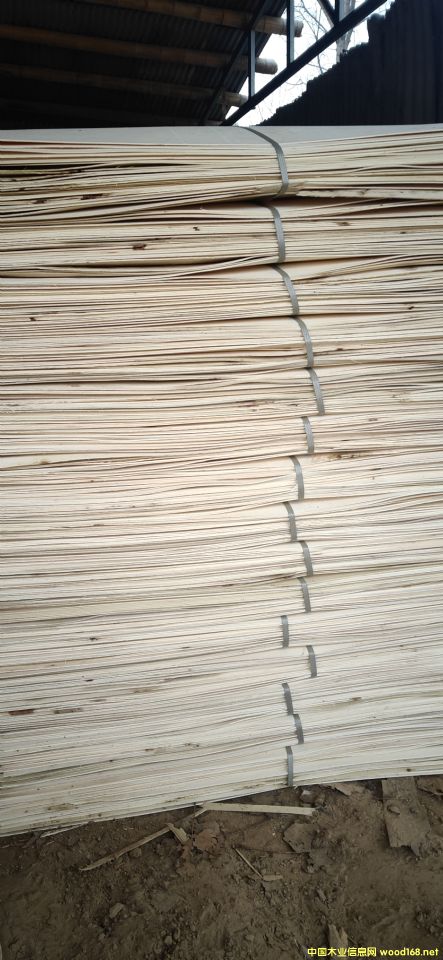 的詳細介紹