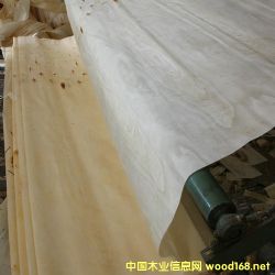 的詳細介紹