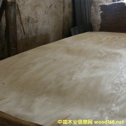 的詳細介紹