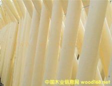 的詳細介紹