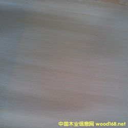 的詳細介紹