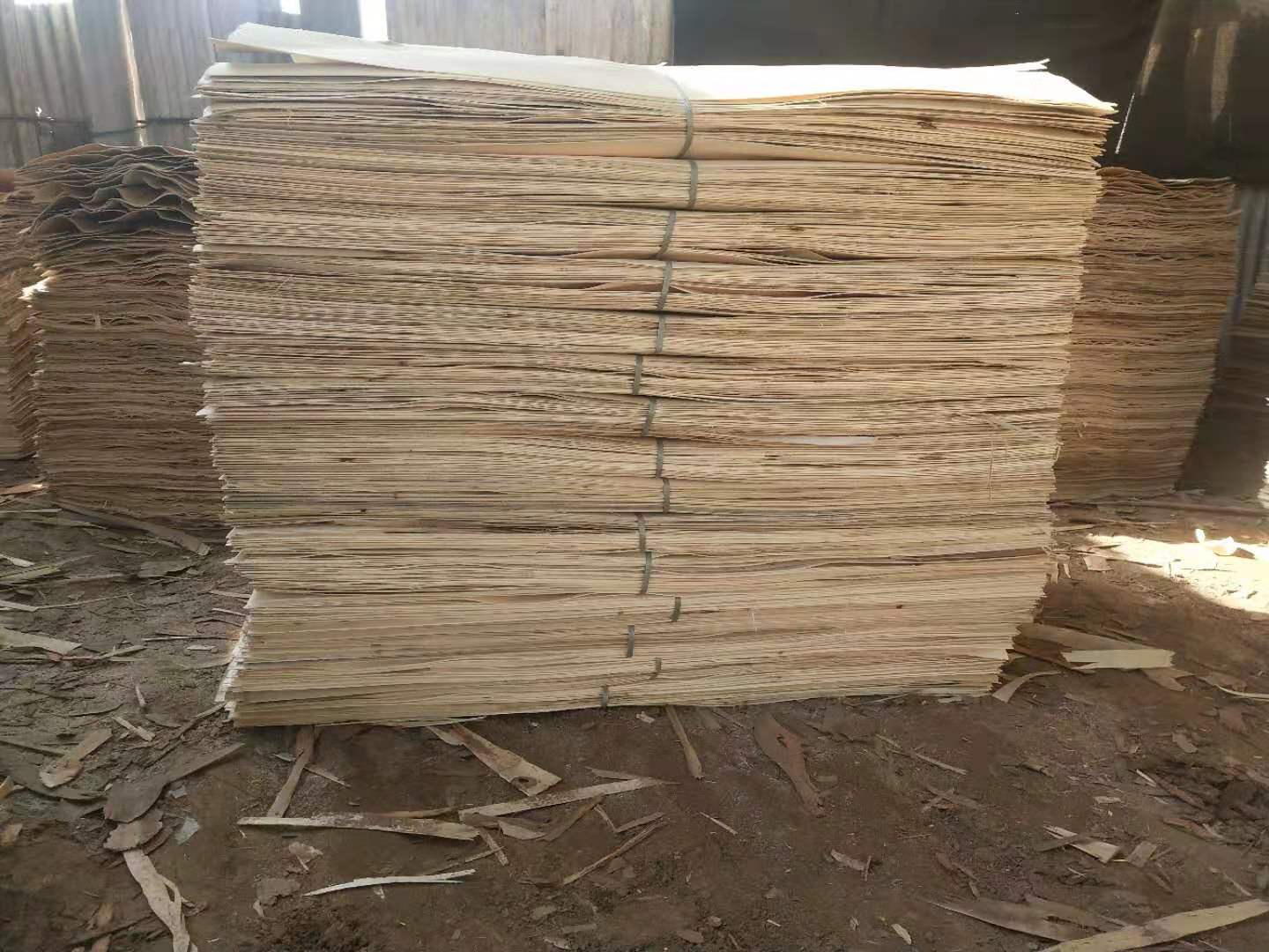 的詳細介紹
