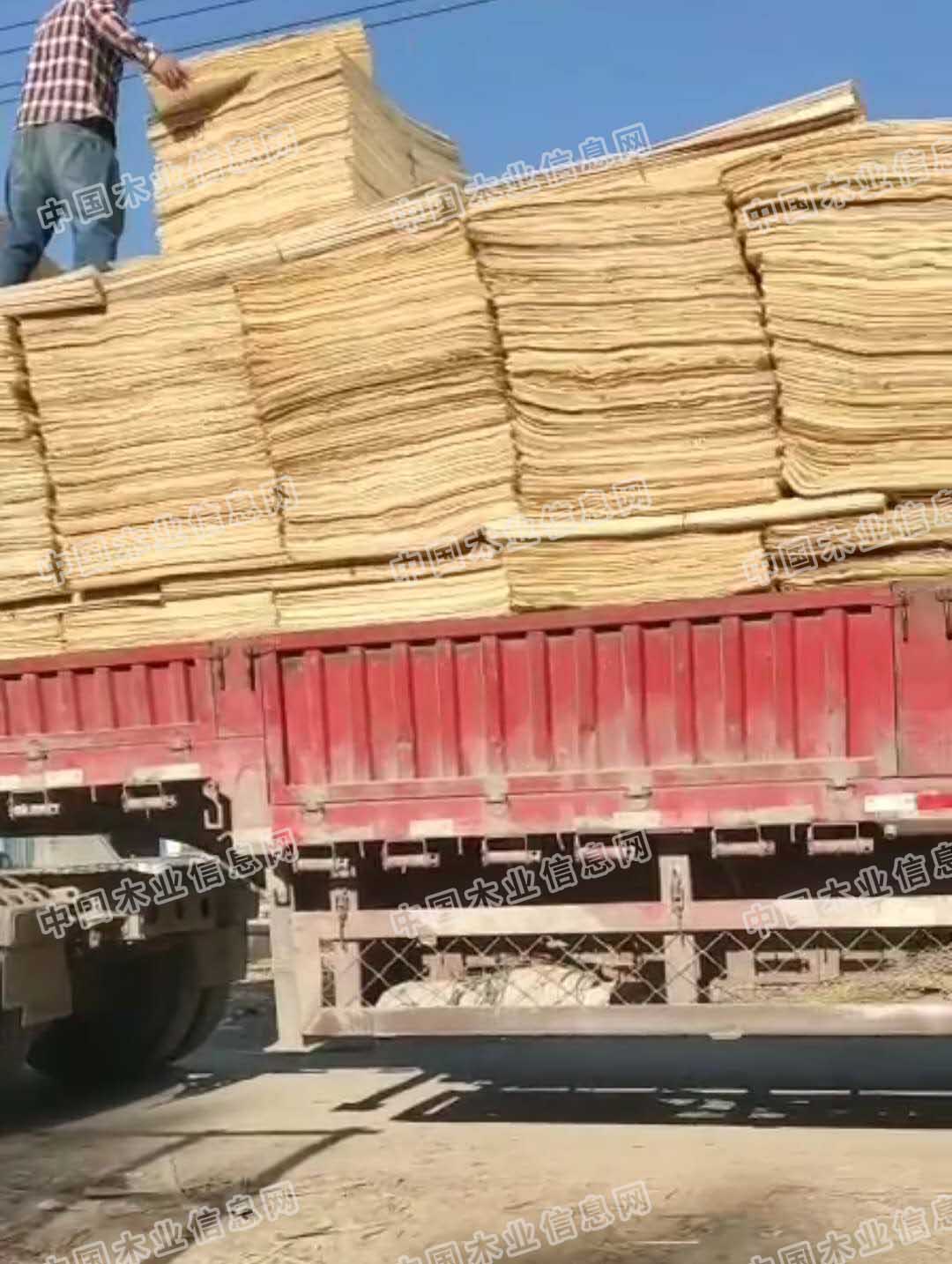 的詳細介紹