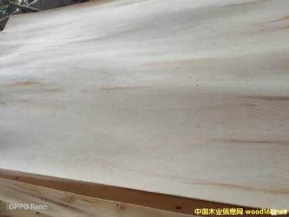的詳細介紹