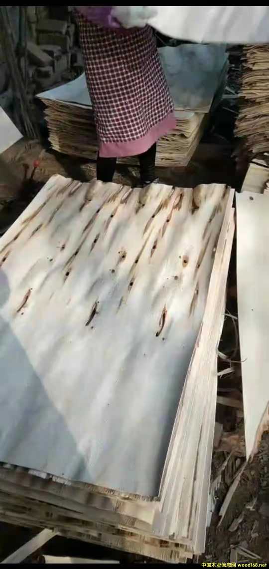 的詳細介紹