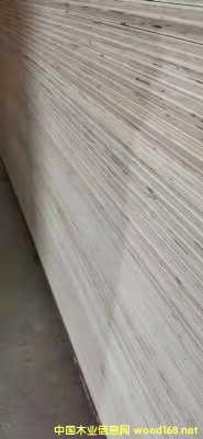 的詳細介紹