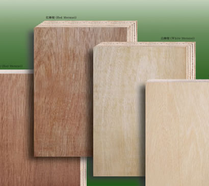Okume plywoodԔB