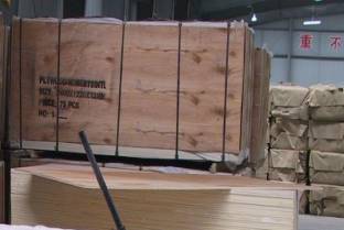 Meranti Plywood(Birch,Okoume)Ԕ(x)B