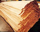 poplar coreԔ(x)B