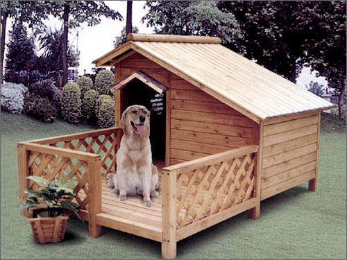 Ȯᣨ)_ DOG HOUSE WITH BALCԔB
