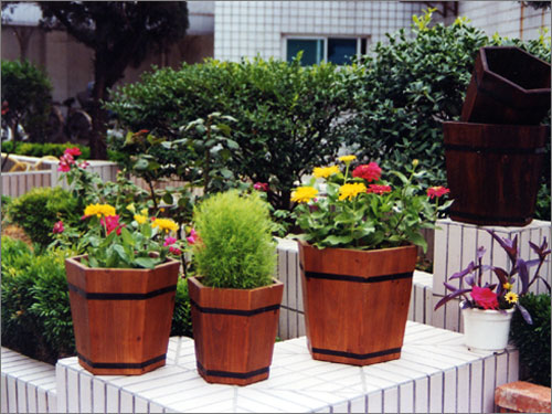 ǷͰ HEXAGONAL FLOWER BUCKETԔB