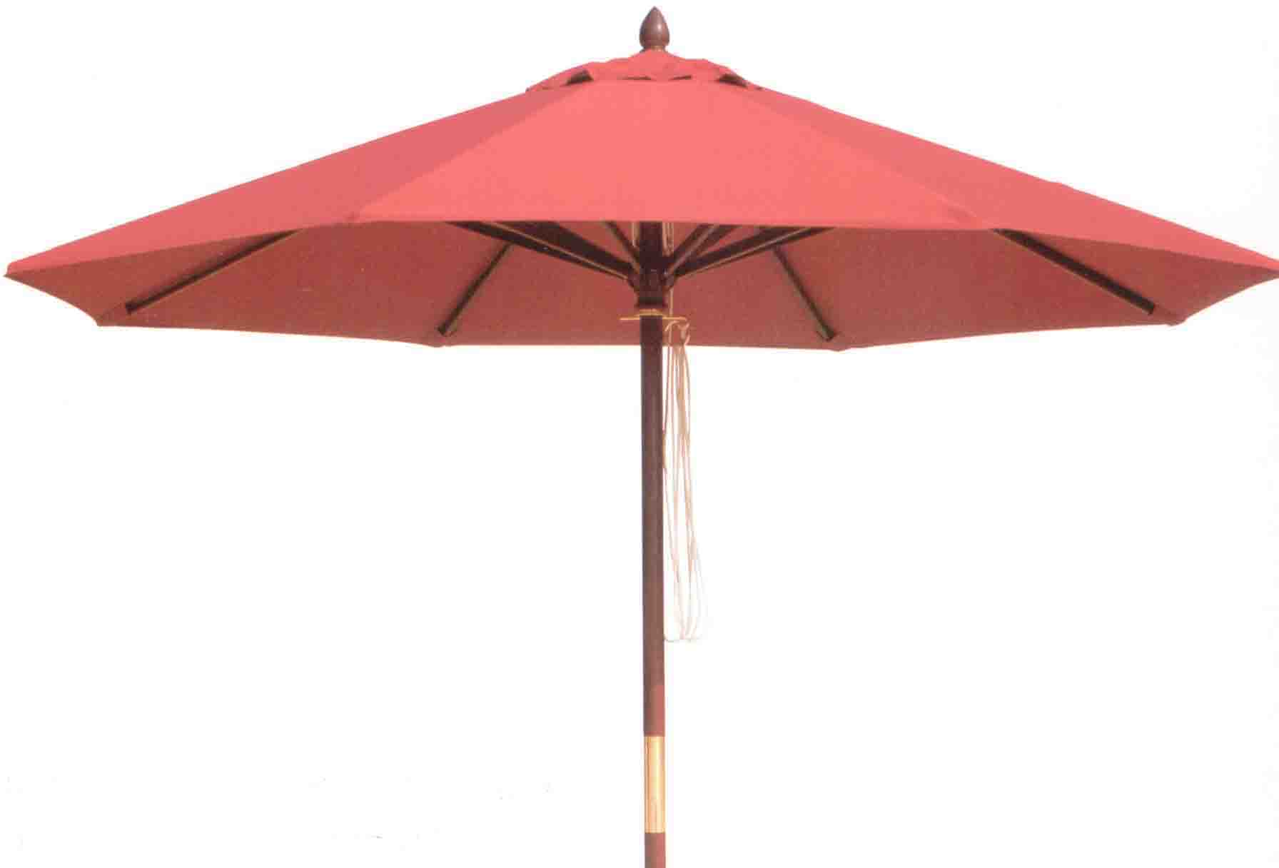 c鿴sun umbrellaԔY